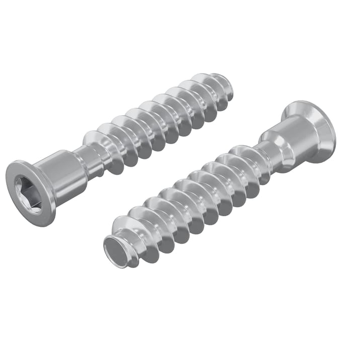vidaXL Hoofdkap Schroef 2 pcs Zilver M7 x 40 mm Staal