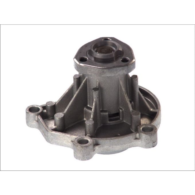 Waterpomp THERMOTEC D1W046TT
