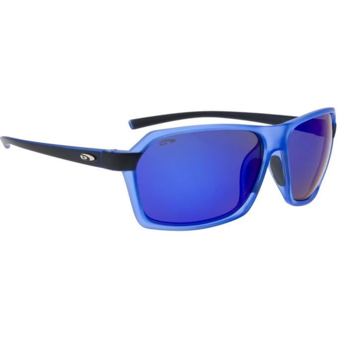 Goggle E923-2P Zonnebril Gepolariseerd Heren