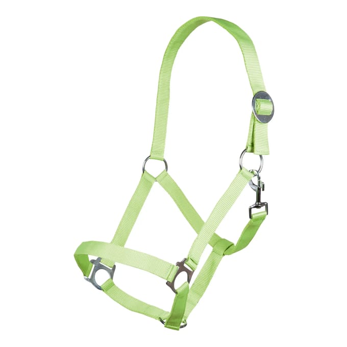 Halster -Stars Economy Softice- neongroen Cob