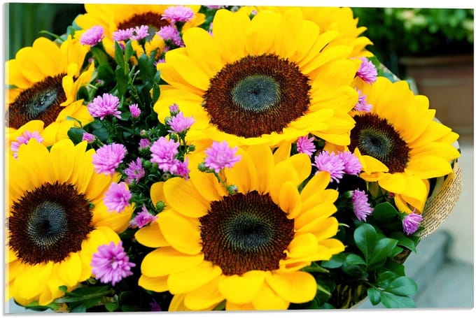 Acrylglas –Gele Zonnebloem– 100x150 (met ophang)