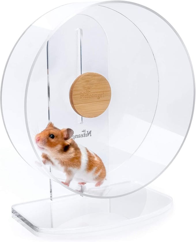 Loopwiel Hamster - Rondloopwiel Dier - Dieren Beweging - Stil Dubbel Lager - 27 cm Diameter - Transparant