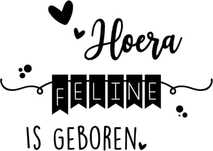 Raamsticker Geboorte - Banner - ZWART
