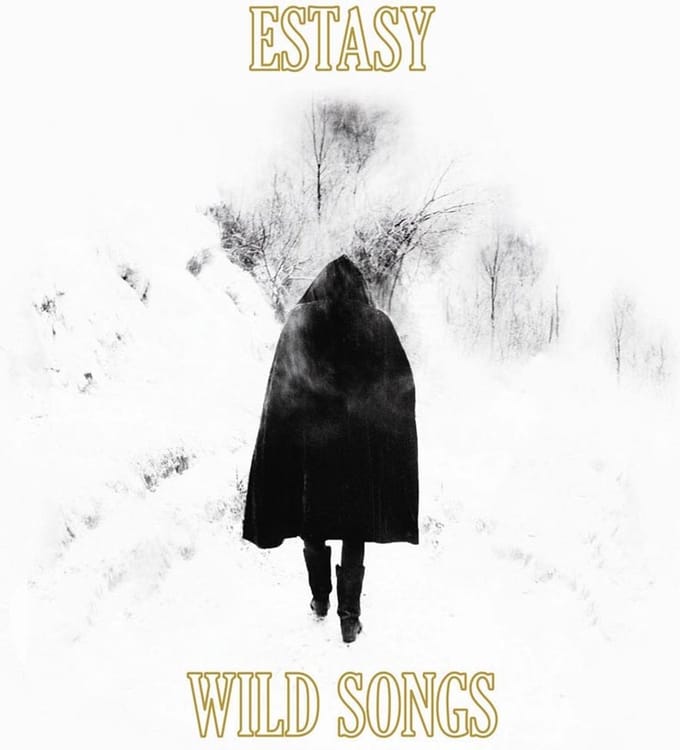 Estasy - Wild Songs (CD)