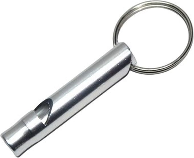 Sleutelhanger met fluitje - Zilver
