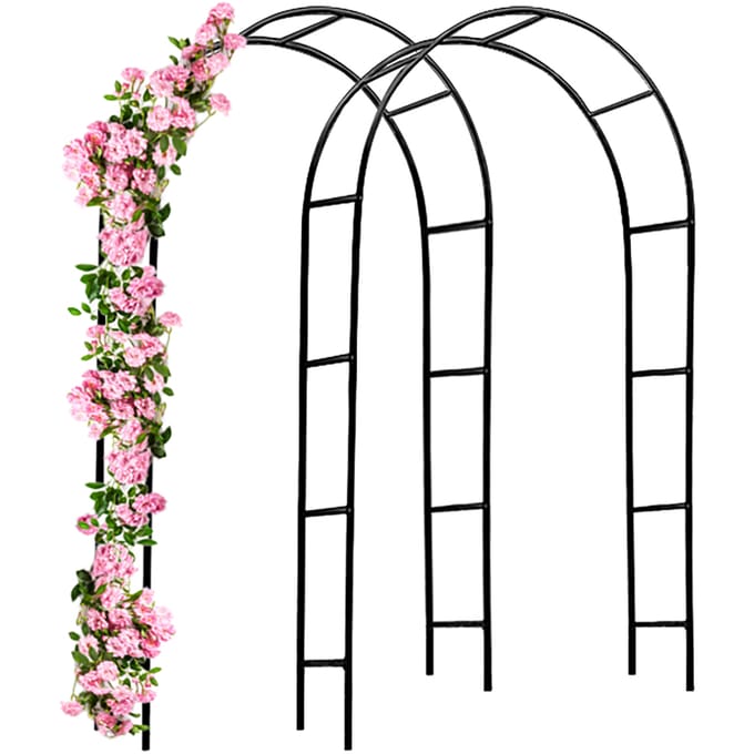Gardebruk Rozenbogen 2 Stuks - Metaal 240x140x37cm - Zwart