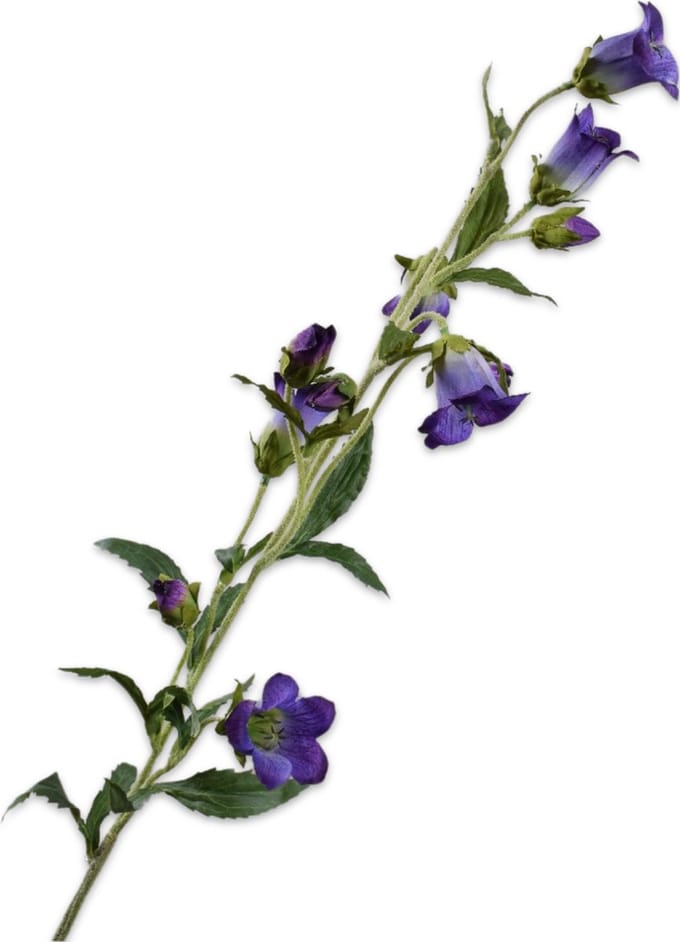 Silk-ka Kunstbloem-Zijden Bloemen Campanula Tak Paars-Blauw 88 cm