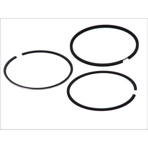 Goetze Engine Zuigerveren set GOETZE 08-502100-00