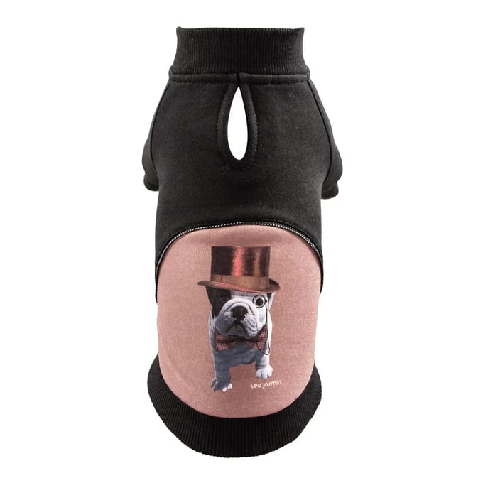 Hoodie voor hond Martin Sellier Teo Dandy