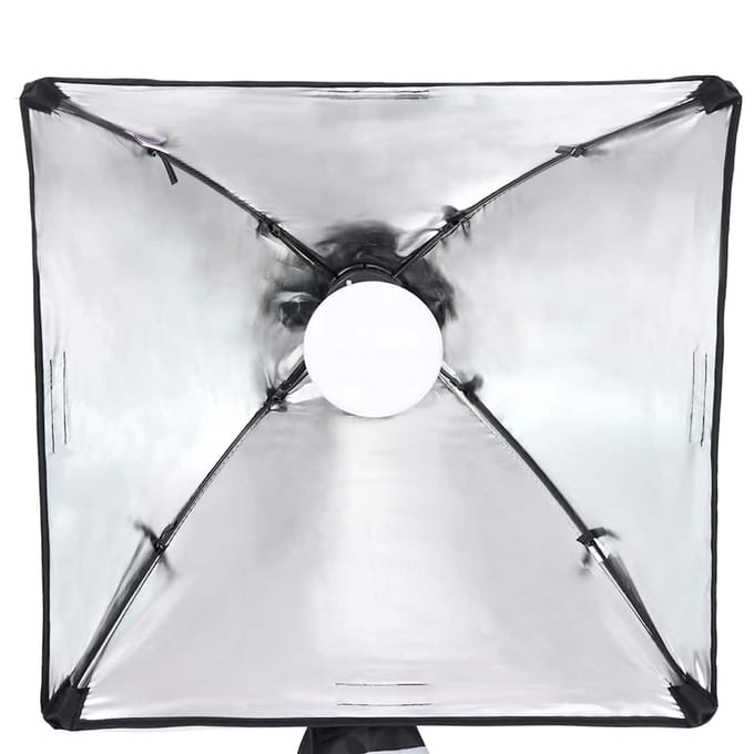 Vidaxl Kit d'éclairage de studio photographique avec lampes et arrière-plan