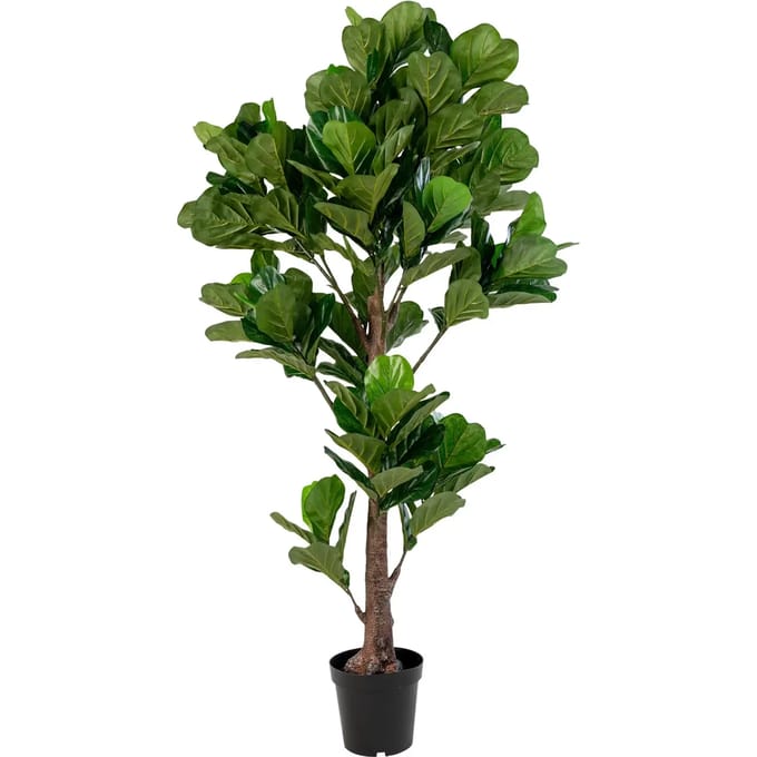 House Nordic Fiddle Bladboom Kunstplant H190 cm