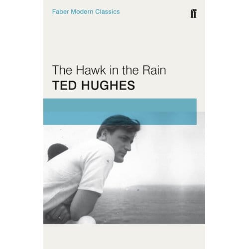 The Hawk In The Rain - Ted Hughes