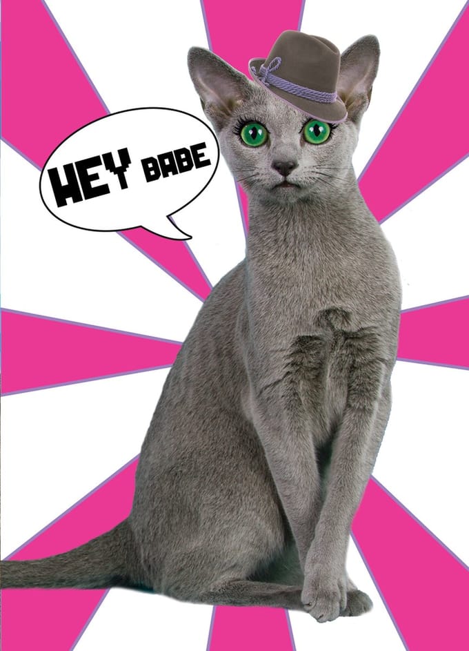 Kunstboer - Kaart hey babe 10 st. - zwarte kat