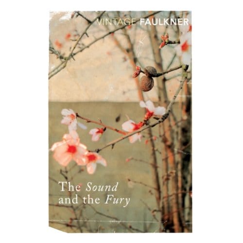 Sound And The Fury - William Faulkner