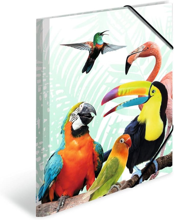Set van 3 A3 Verzamelmappen met Elastiek - Tropische Dieren Thema