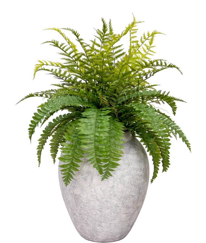 UNUS Kunstplant Kunstbloem Varen 84 cm inclusief vaas