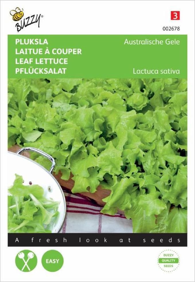 Buzzy Zaden - Pluksla Australische Gele - Lactuca sativa