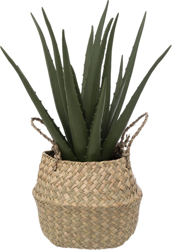 Kunstplant ALOË in mand, 37 cm