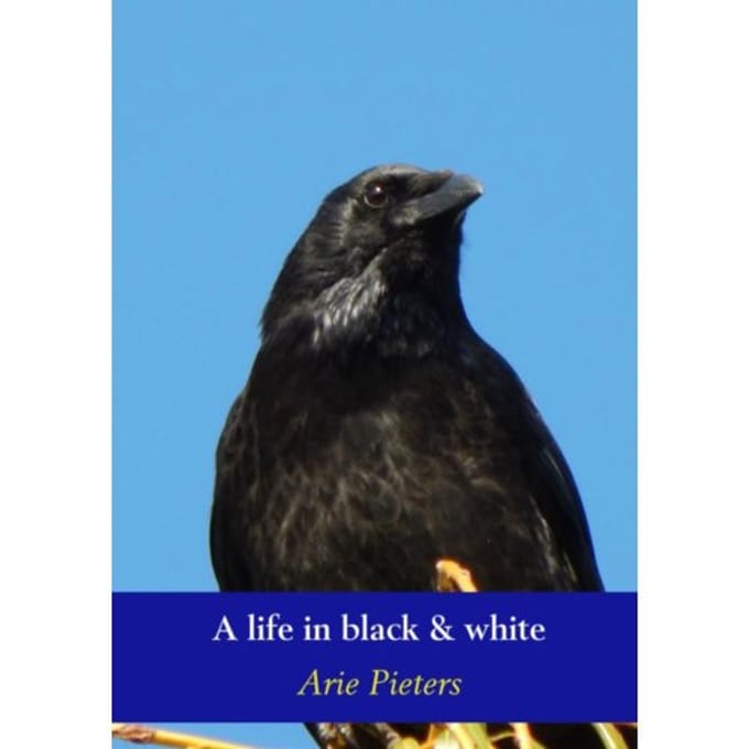 A Life In Black & White - Arie Pieters