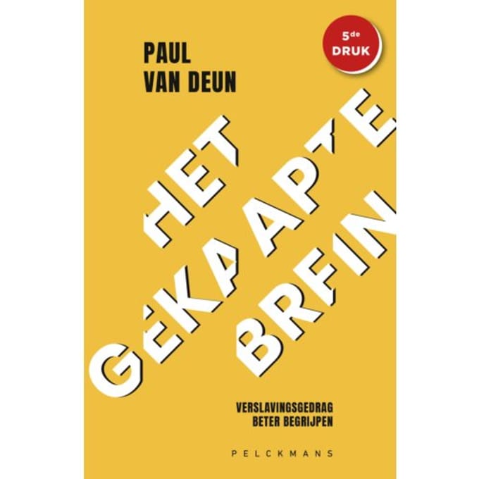 Het Gekaapte Brein - Paul Van Deun