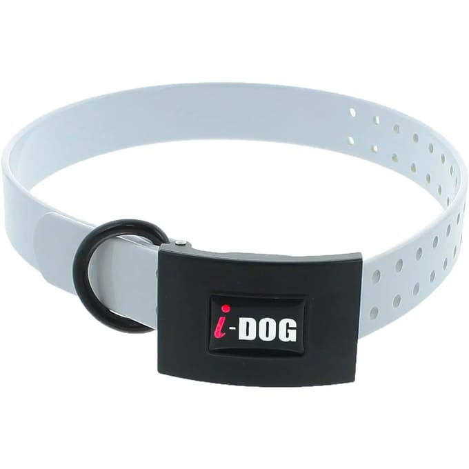Hondenhalsband I-DOG Premium