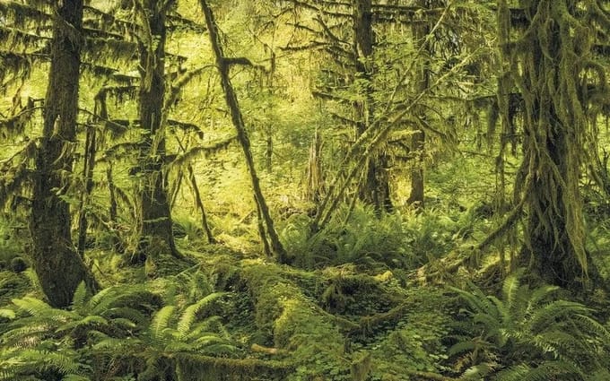 Fotobehang - Ancient World 400x250cm - Vliesbehang