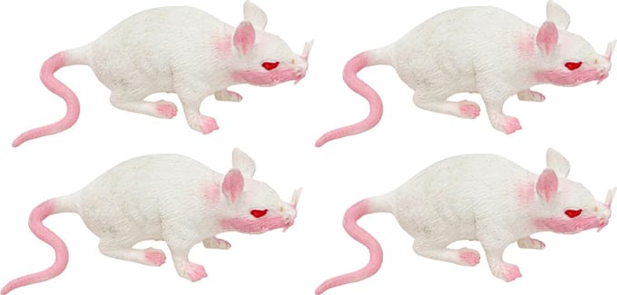 Chaks Stretchy nep rat 17 x 14 cm - 5x - wit - Horror/griezel thema decoratie