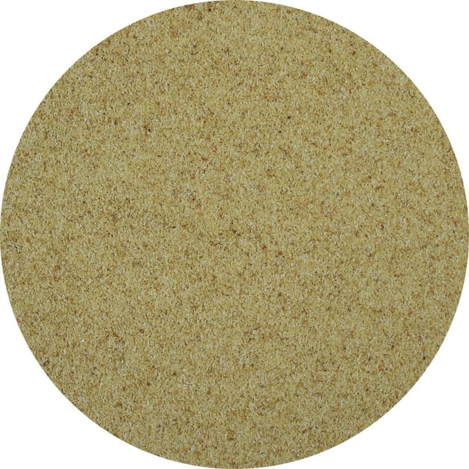 Van Beekum Specerijen - Knoflook Granulaat - 25 KG - Doos (bulk verpakking)