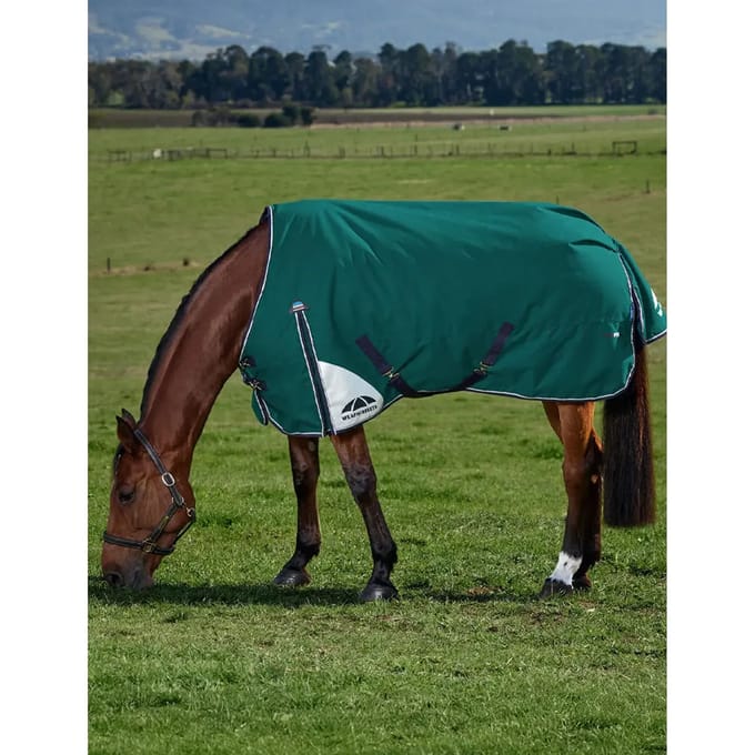 Outdoor paardendeken Weatherbeeta Comfitec Plus Dynamic 100g