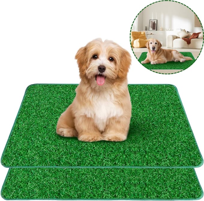 Hondentoilet Kunstgras - Geurafstotend - Honden Wc Outdoor & Indoor -Groen