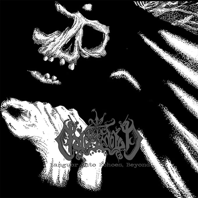 Echoes, Beyond