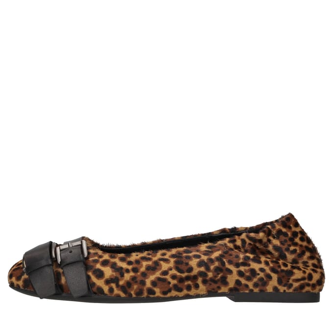 Ash Lage schoenen Dieren