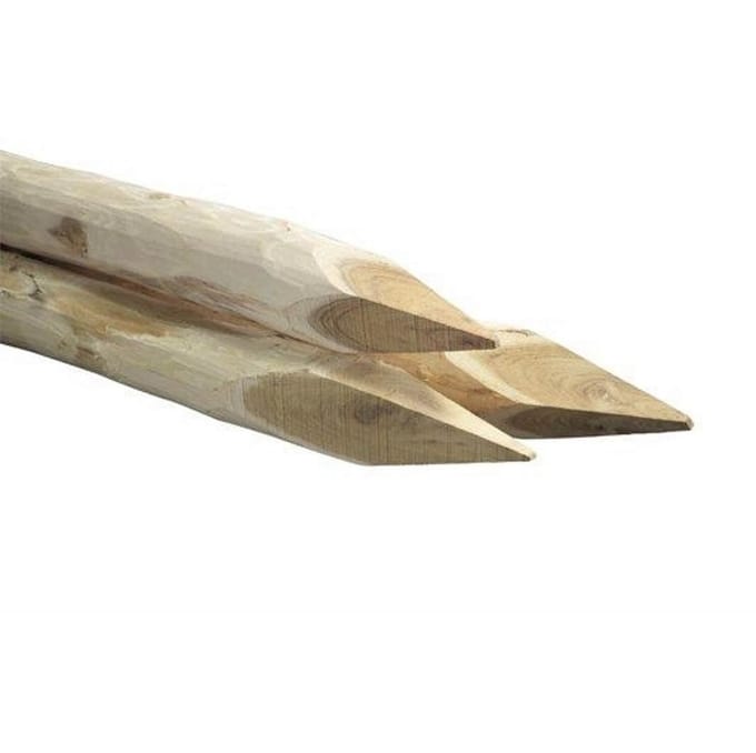 Robinia Ronde Palen 140cm 6-8cm