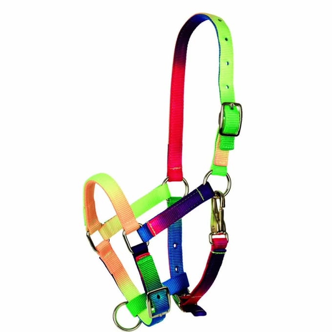Pony halster Tattini