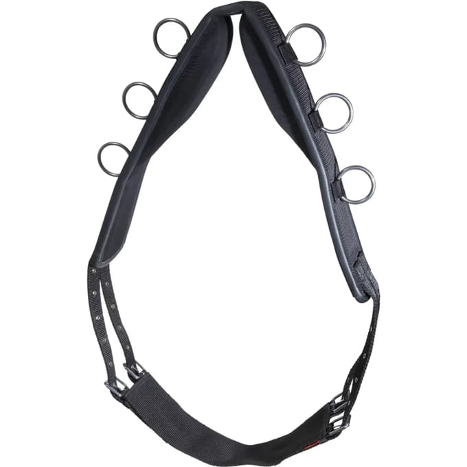 Nylon longe band voor paard Karlslund