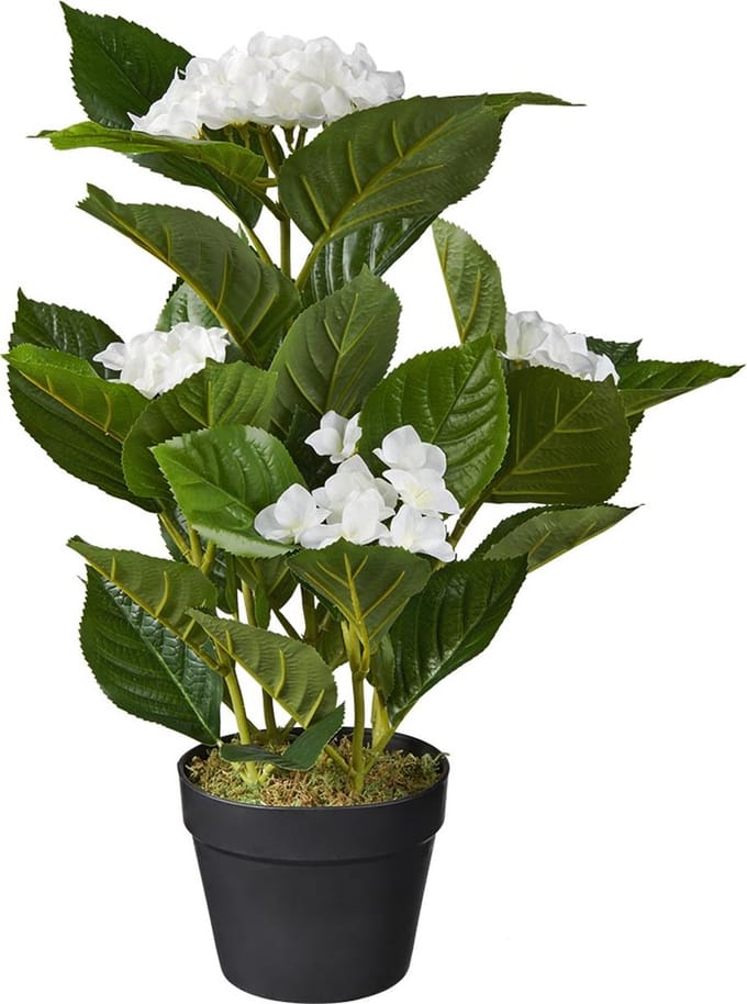 Kunstplant Hortensia wit H60cm - HTT Decorations kunstplanten