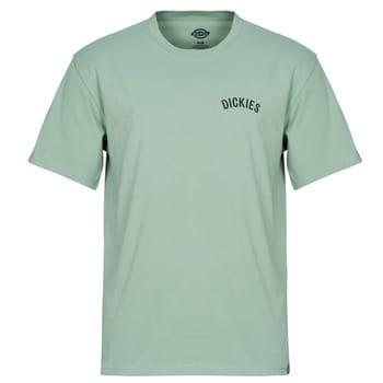 T-shirt Korte Mouw Dickies DICKIES SNAKE SS TEE