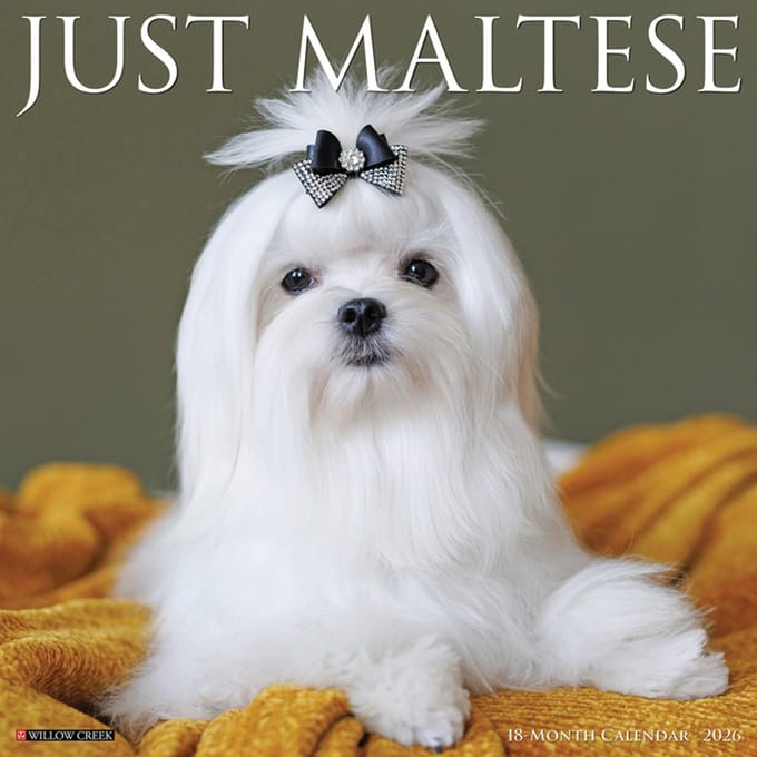 Maltezer Kalender 2026