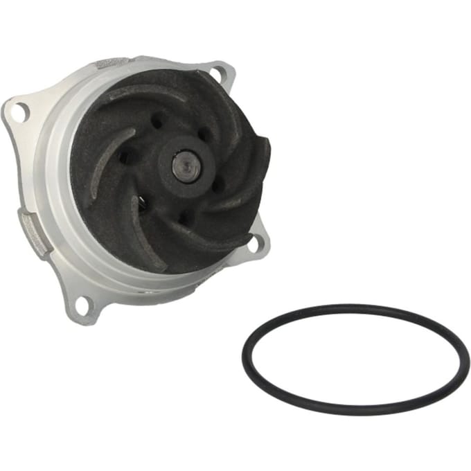 Waterpomp HEPU P236