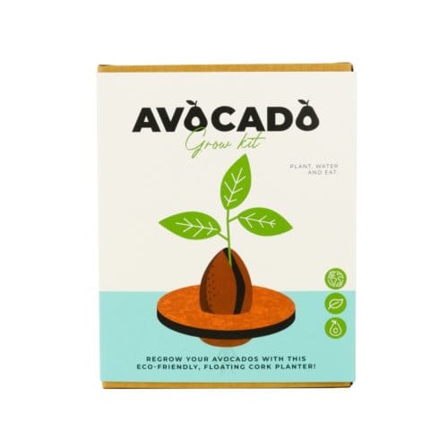 Kurken ontkiemset voor avocado's van Gift Republic