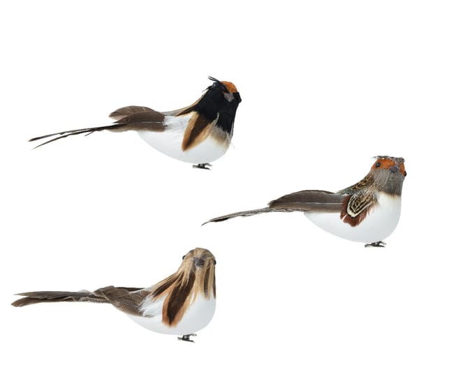 Vogel foam op clip 3ass