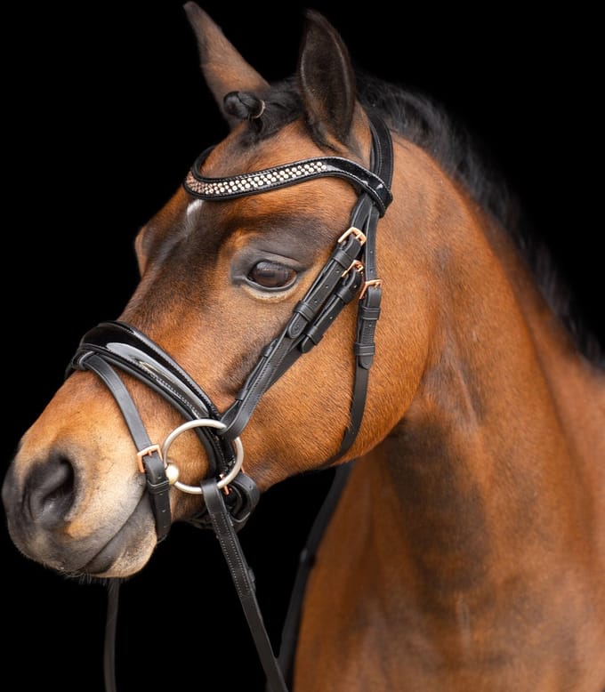Imperial Riding Hoofdstel Petit Sapphire - Pony | Hoofdstel paard