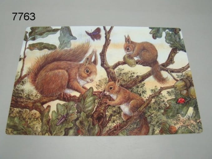 Geharo Placemat eekhoorns - 41 x 29 cm - gelamineerd