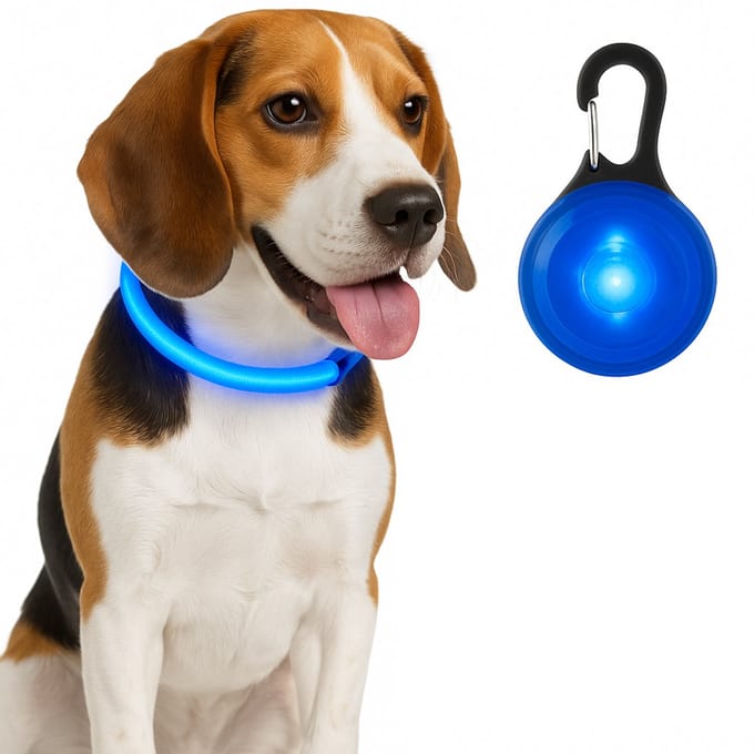 Professor Q - Led Halsband Blauw S & Honden Lampje Blauw Set