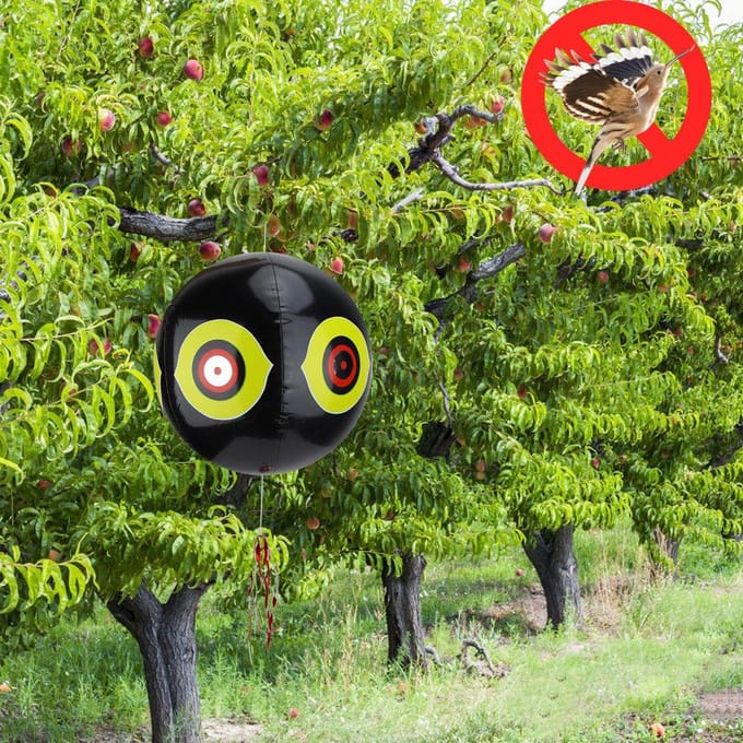 Terror Opblaasbare Vogelverschrikker Ballon Vogelafweermiddel Roofdierballon(Zwart) black