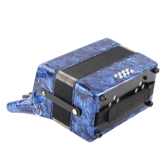 Accordeon Heldere Kleur 22?Sleutel 8?Bas Piano Keyboard Instrument voor Podiumoptreden gray