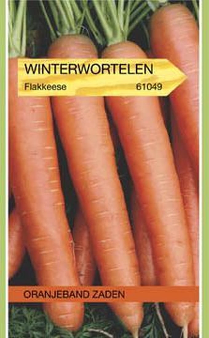 OBZ 661049 Winterwortelen Flakkée 2