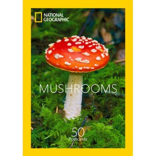 Mushrooms - National Geographic