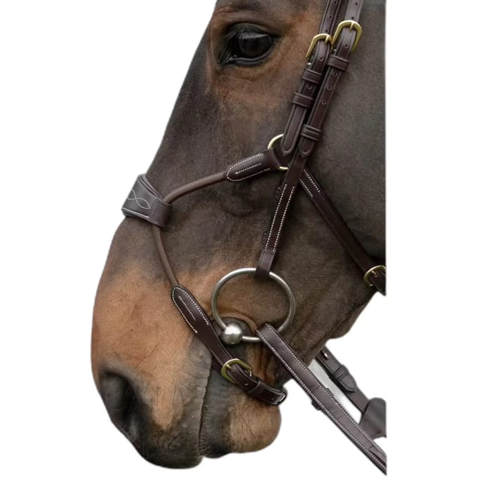 Hybride elastische neusriem DY coll, Pony/bruin
