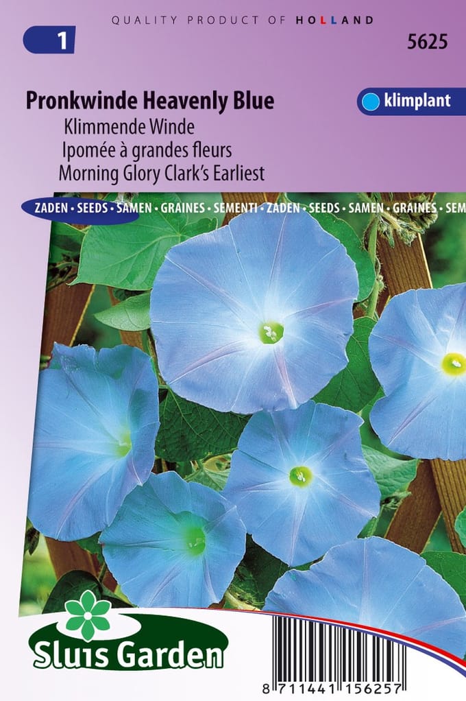 Sluis Garden - Klimmende Winde Clark's Blue (Ipomoea)